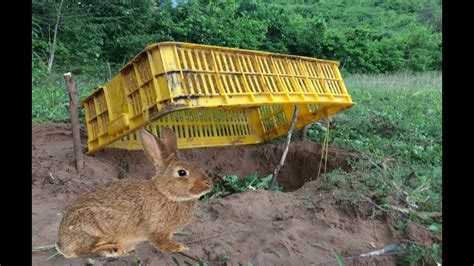 rabbit trap movie 2023